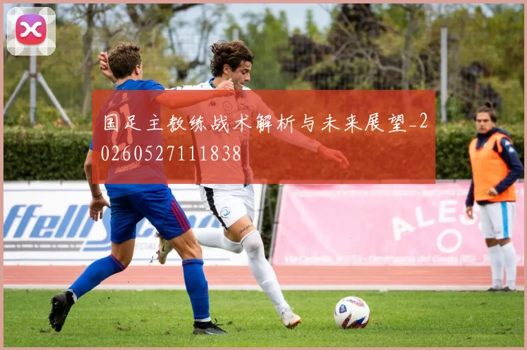 国足主教练战术解析与未来展望_20260527111838